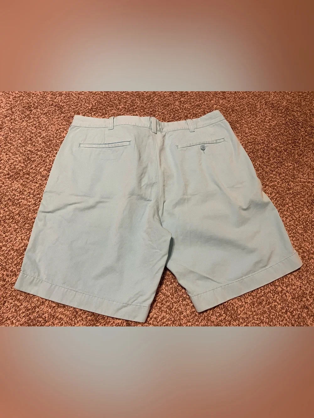 J. Crew Light Blue Flat Front Chino Shorts